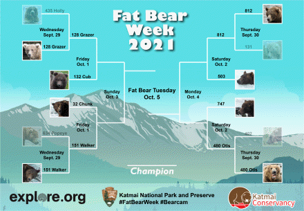 Fat Bear Week:  Sept 1, 2021